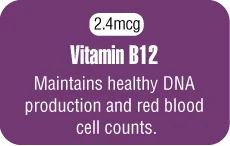 Vitamin B12 - Maintains healthy DNA production and red blood cell counts