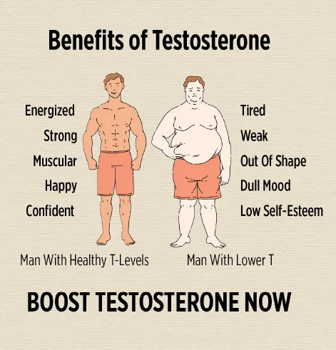 Nugenix Total-T benefits